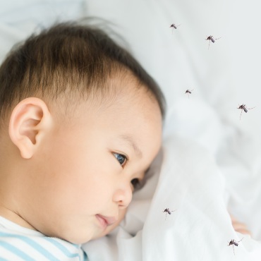 “Dengue fever in children” threats from mosquitoes that parents need to watch out!